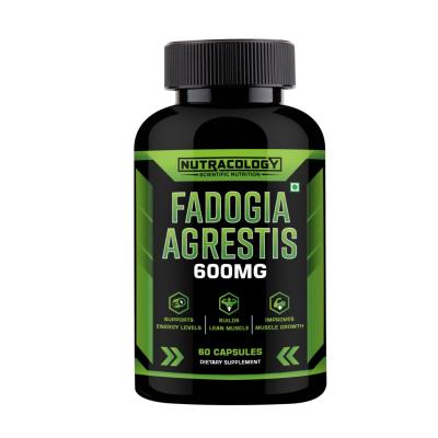 Fadogia Agrestis Extract Capsule 600mg, Natural Testosterone Booster (60 Capsule)