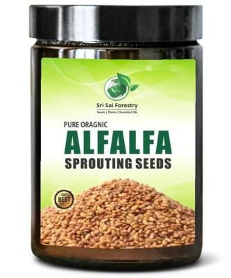 Organic Alfalfa Seeds for Sprouting | 250 Grams | Perfect for Sprouting & Microgreens, Premium Alfalfa Sprout Seeds, Non-GMO