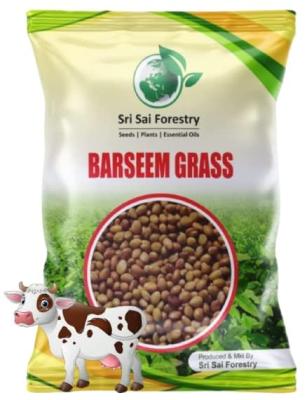 Berseem Grass Seeds - 1KG - Barseem Grass Seed for Animal Fodder