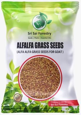 Alfalfa Grass Seeds for Goat - Lucerne alfalfa Grass Seed - 500 gram