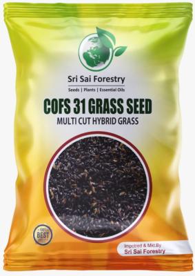 COFS 31 Grass Seeds 1 KG | Multi Cut Grass for Animal Fodder